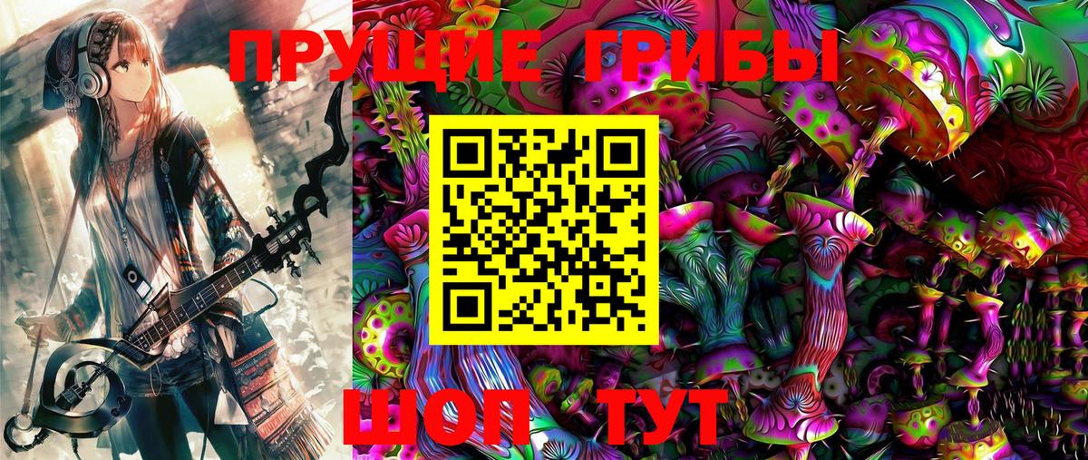 Псилоцибиновые грибы Psilocybine cubensis Ишим