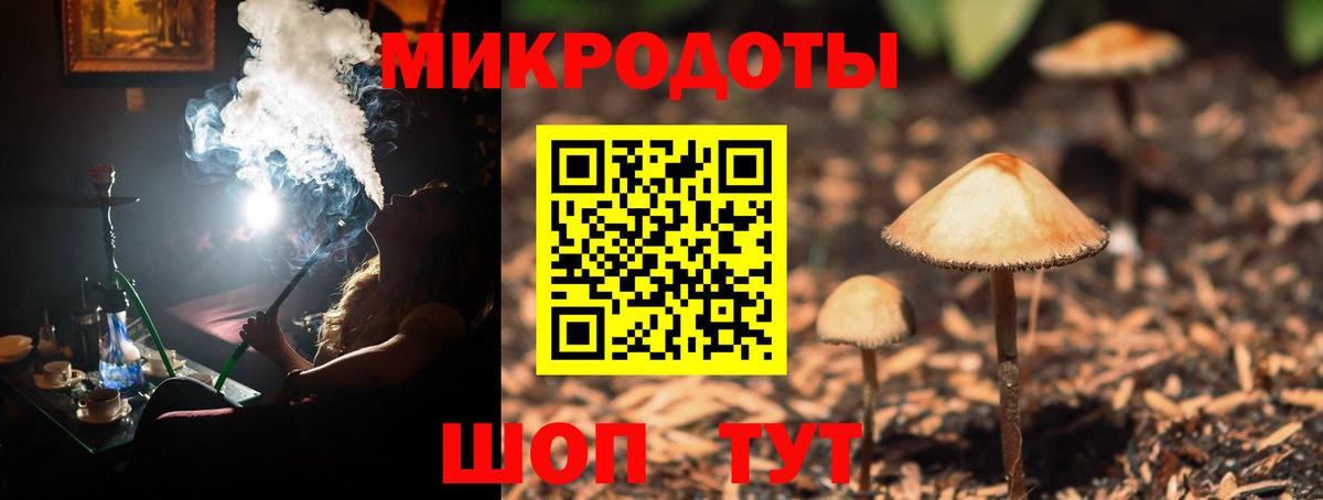 Ишим  Псилоцибиновые грибы мухоморы  Вход с VPN 